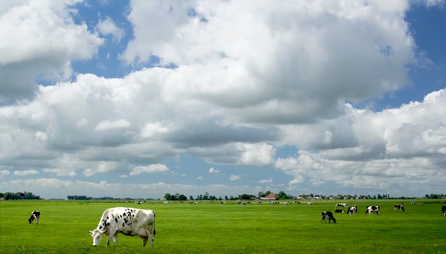 Fotografie