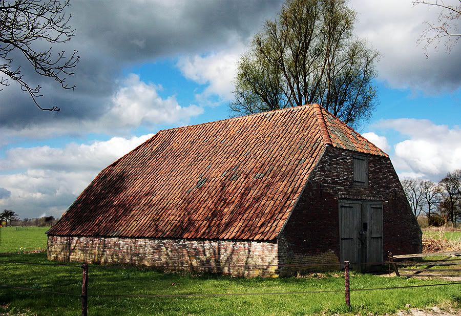 Fotografie