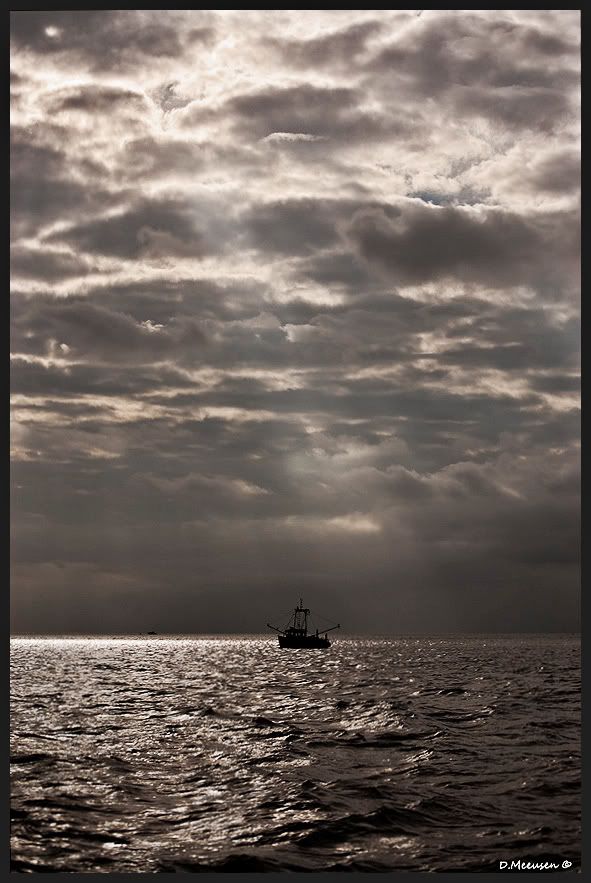 Fotografie