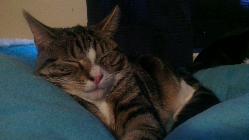 IMAG0364.jpg