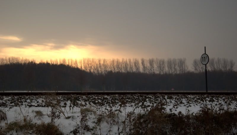 _DSC0013.jpg