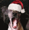 icoon_raya_kerst.gif