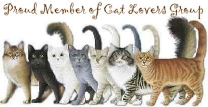Cat Lovers Group at Care2