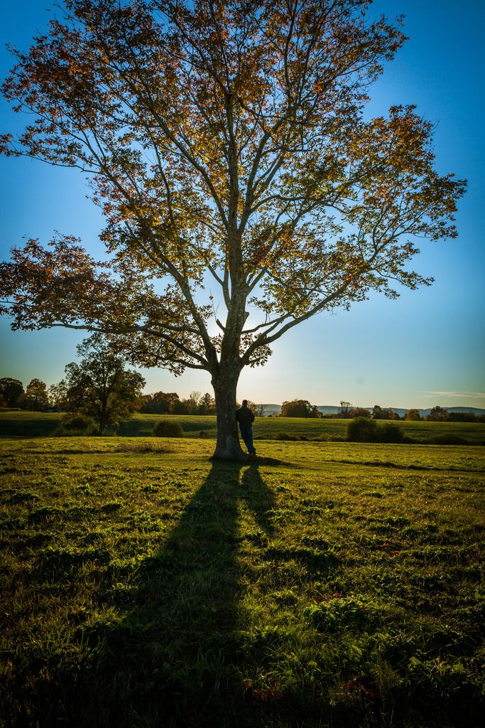 IMAGE: http://i1004.photobucket.com/albums/af164/jjmc1025/2D8A6443_zpsq0wvxdck.jpg