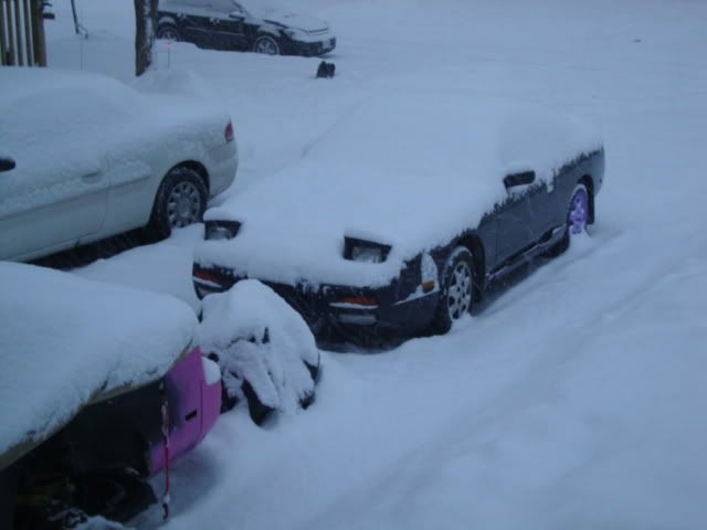 http://i1004.photobucket.com/albums/af168/bradens13/DSC01797.jpg