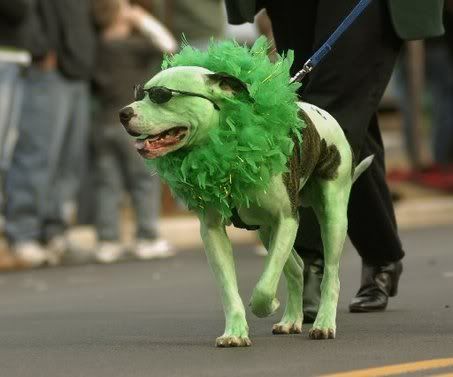 Greendog.jpg