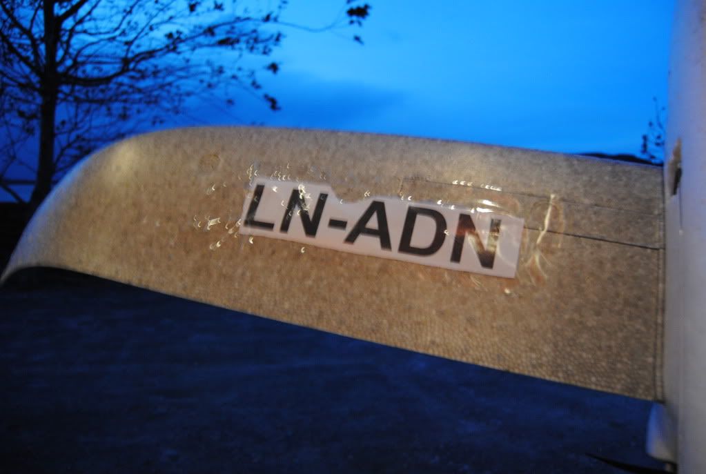 LN-ADNTiger010.jpg