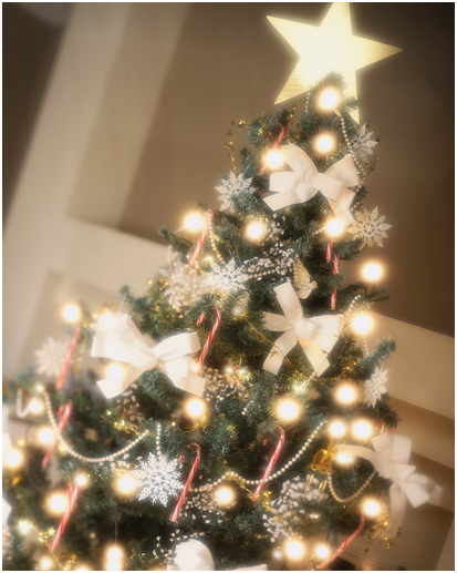  photo NewPicture.png