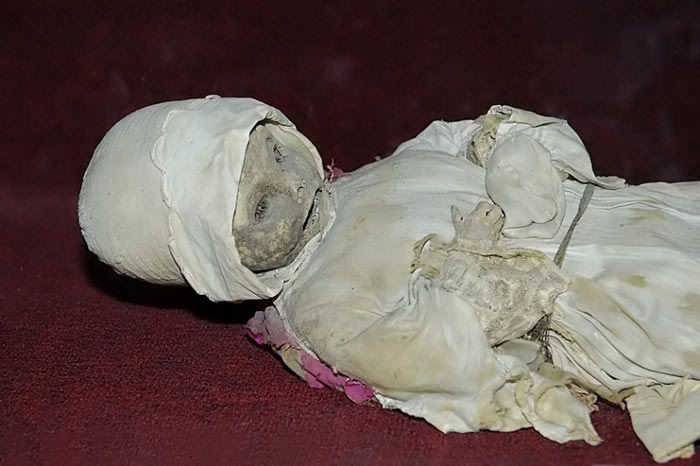104263_0.jpg