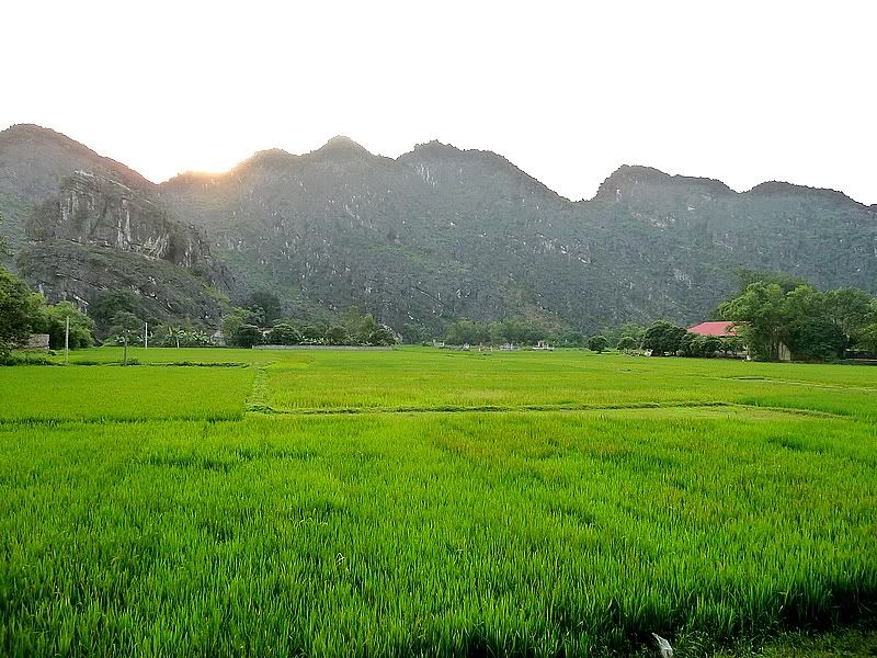 P1080893-1.jpg picture by kimdong2010