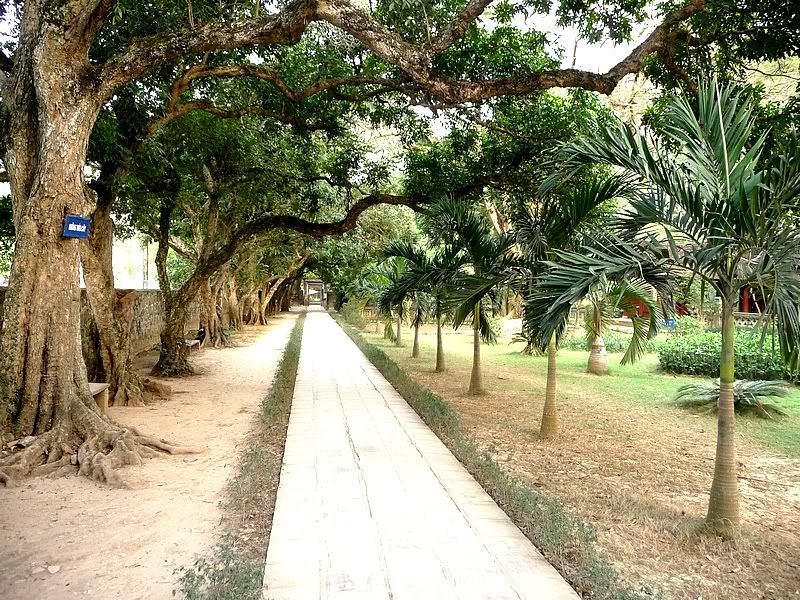 P1080918-1.jpg picture by kimdong2010