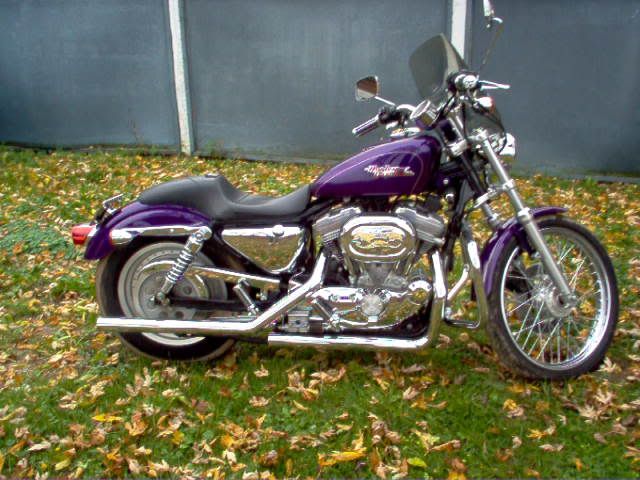 harley 883 problems