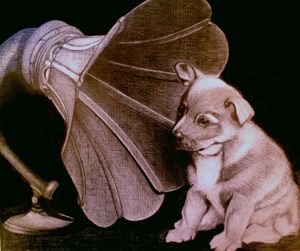 photo jazz_dog_by_sinsenor-d3118px_zpsd552aecd.jpg